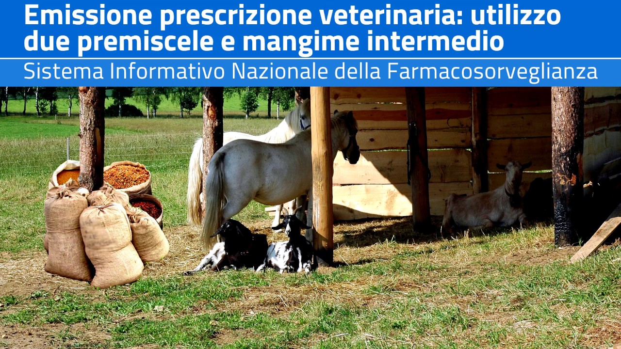 Veterinari - Emissione prescrizione per mangime intermedio o con due premiscele