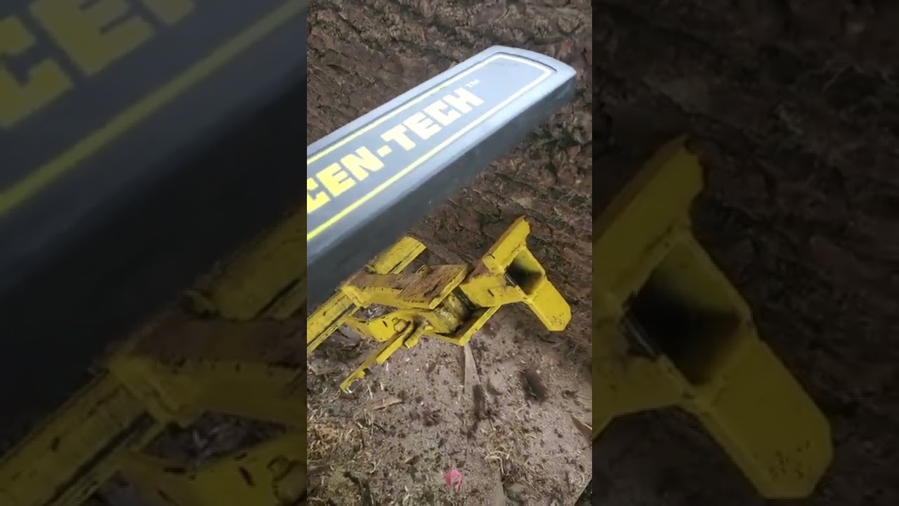 Metal detecting in a log with Harbor Frieght wand
