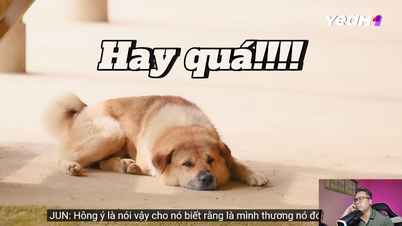 (Reaction) Gia Đình Haha - Tập 1....Cuối cùng thì cũng được xem show đỉnh nhất Việt Nam hiện tại!