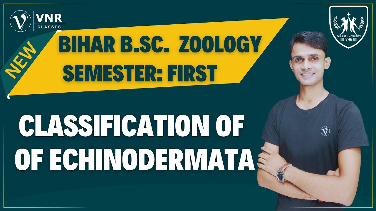 (20) CLASSIFICATION OF ECHINODERMATA | BIHAR B.Sc. SEMESTER- I, ZOOLOGY