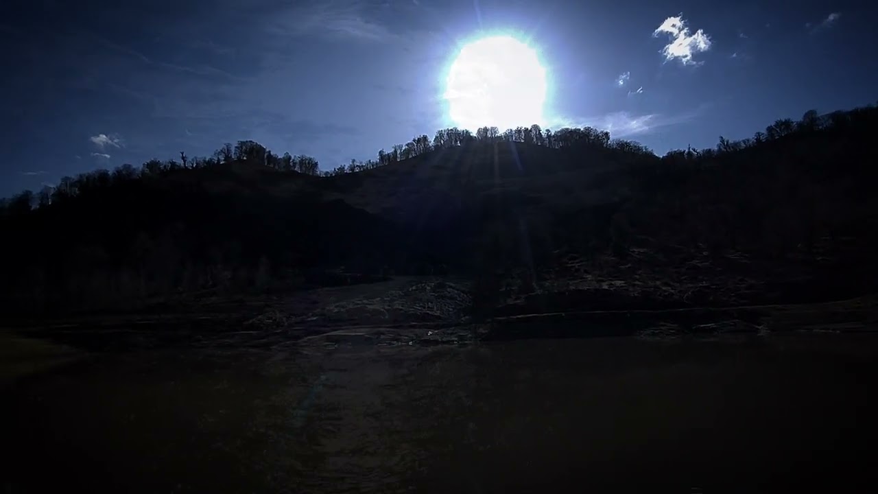 Deep Forest & Lake ASMR | Sun Reflections & Nature Sounds