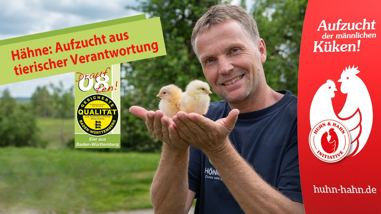 H&auml;hne: Aufzucht aus tierischer Verantwortung