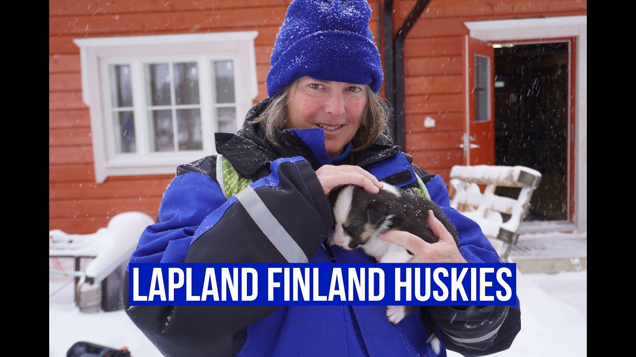 Lapland Finland, Muotka Wilderness Hotel Husky Tour