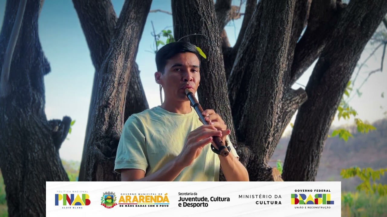 Origem - Paulinho Silva - Flauta Pan