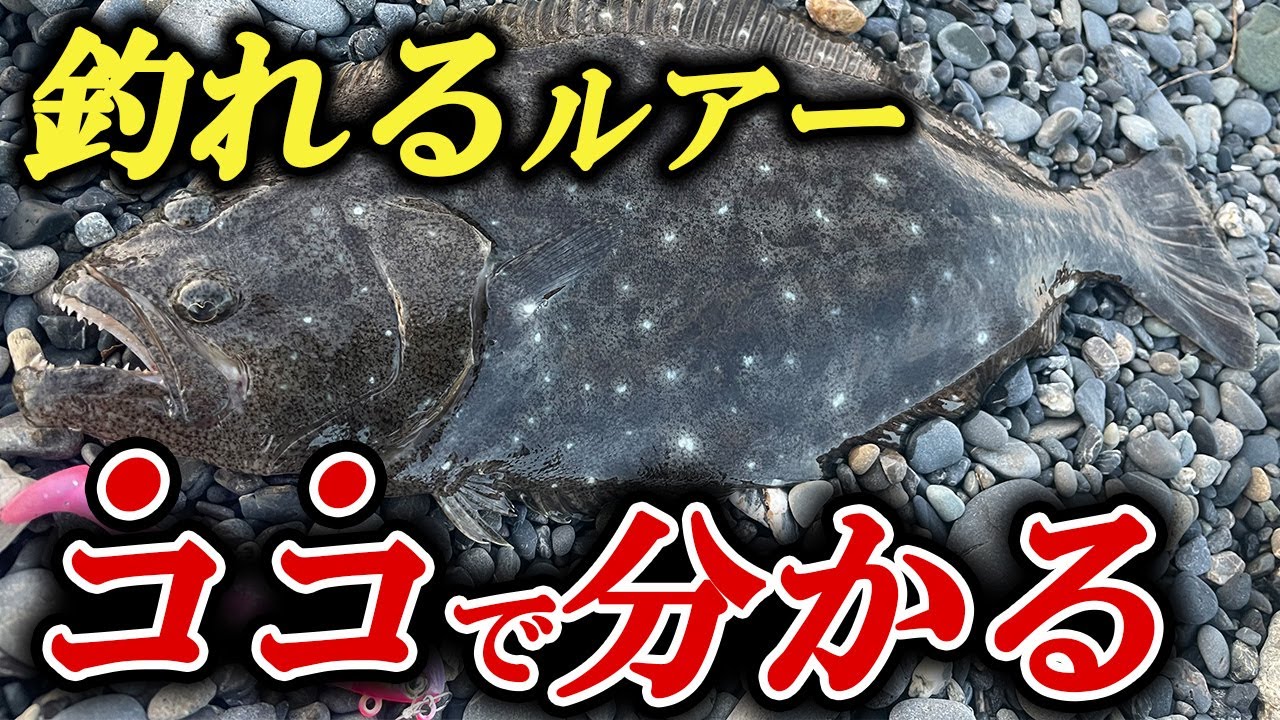 【初心者は騙される】ヒラメが釣れるルアーには○○がある。全てに通じるルアー探し・見つけ方の基本