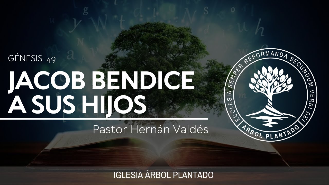 63 - Jacob bendice a sus hijos  ( Génesis 49 )