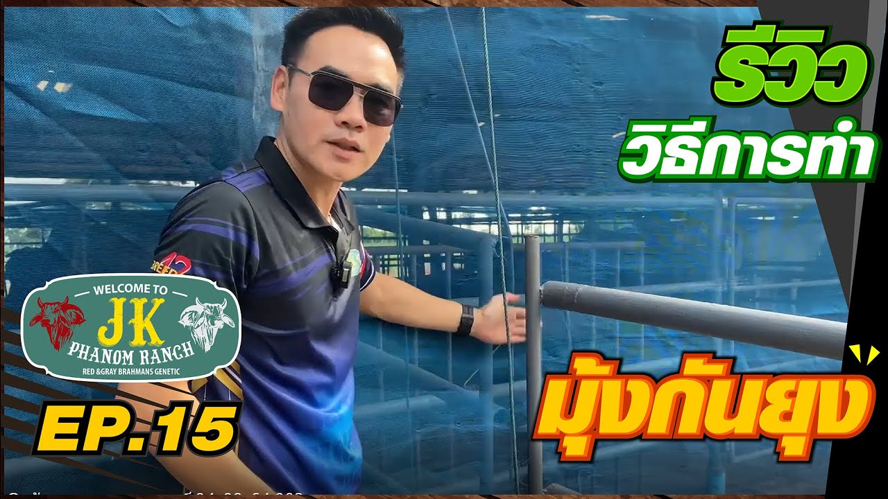 วิธีการทำมุ้งกันยุงให้วัวบราห์มัน ในแบบของฟาร์มเจ.เค.พนมแรนซ์