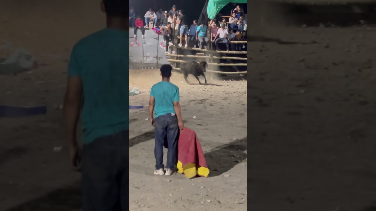 Toreros accidentes