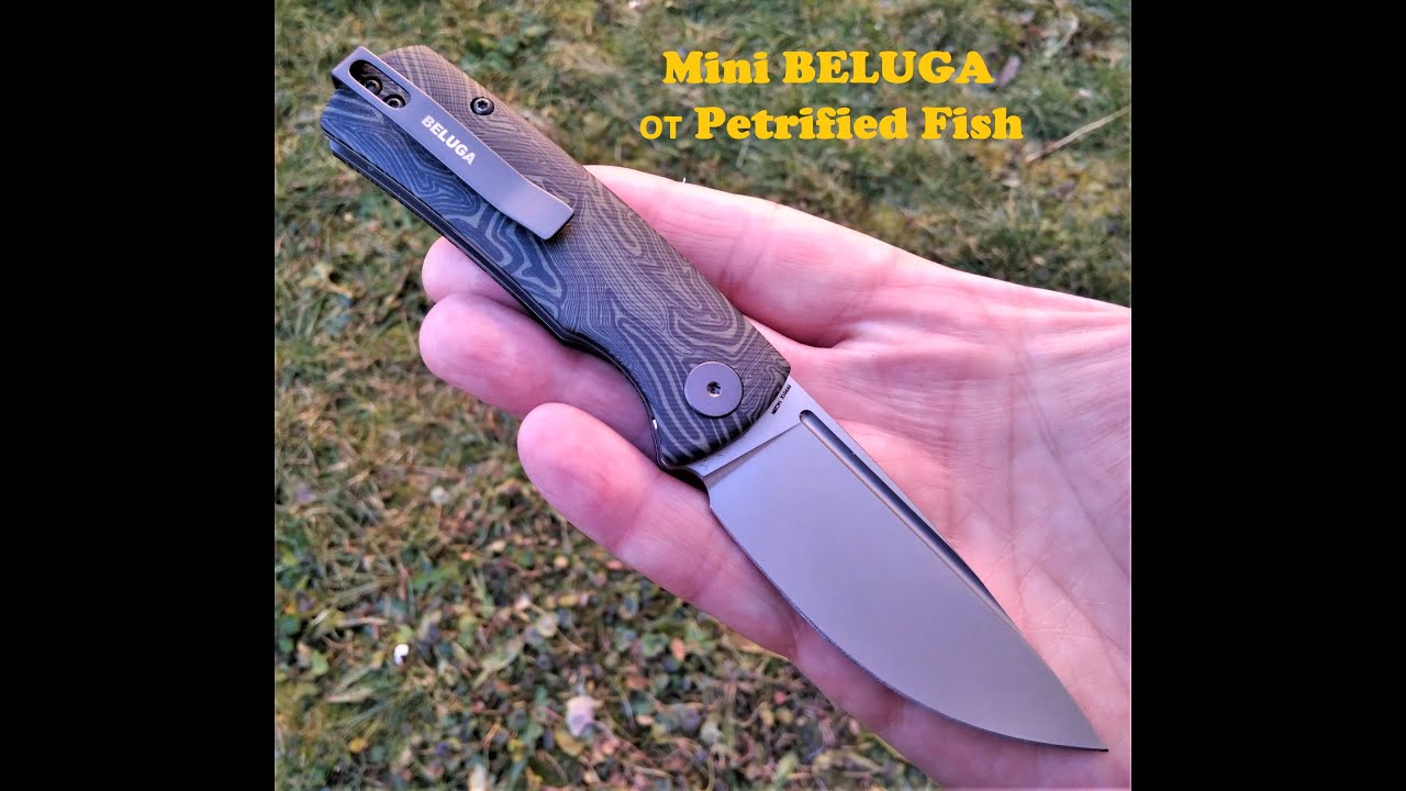 Складной EDC нож Mini BELUGA . Когда малышка круче мамки! :)
