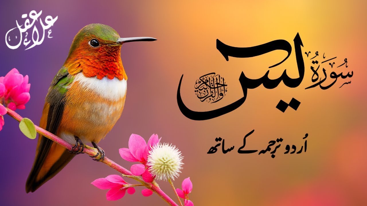 The Best Surah Yaseen ( Yasin ) With Urdu Translation | Infinite Holy Quran | EP056