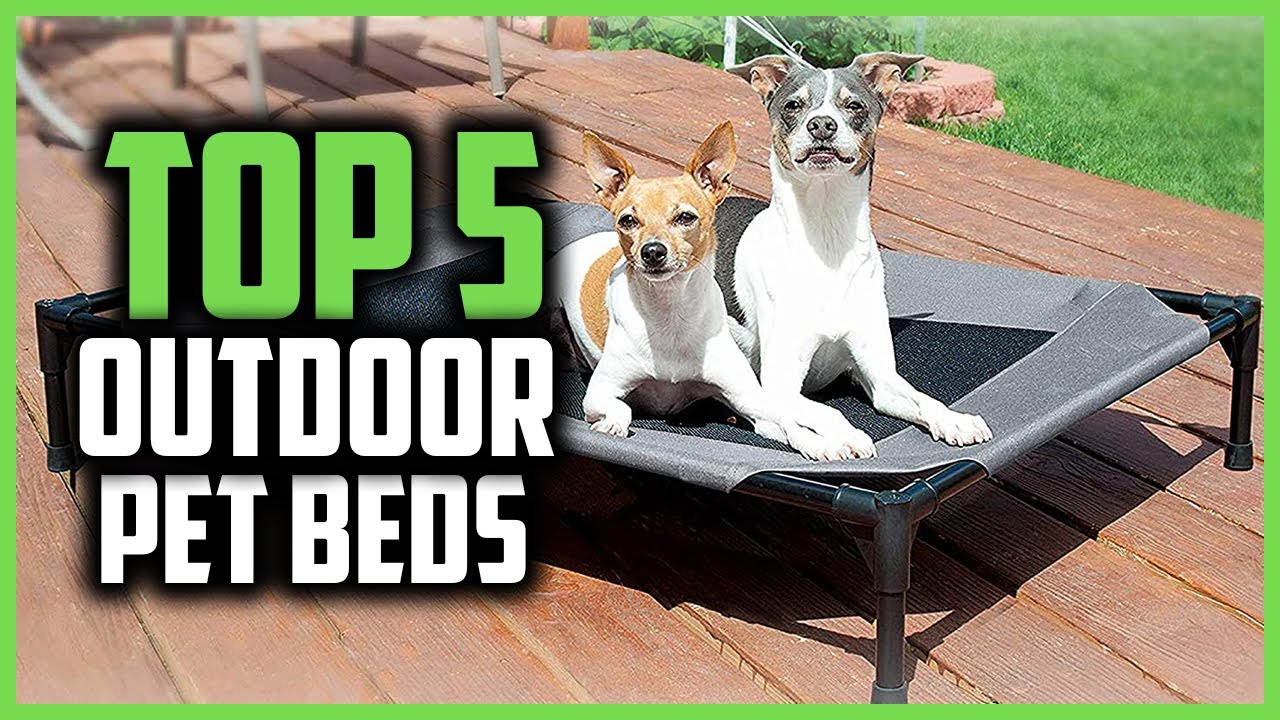 Top 5 Best Outdoor Pet Beds Reviews and Buying Guide In 2025