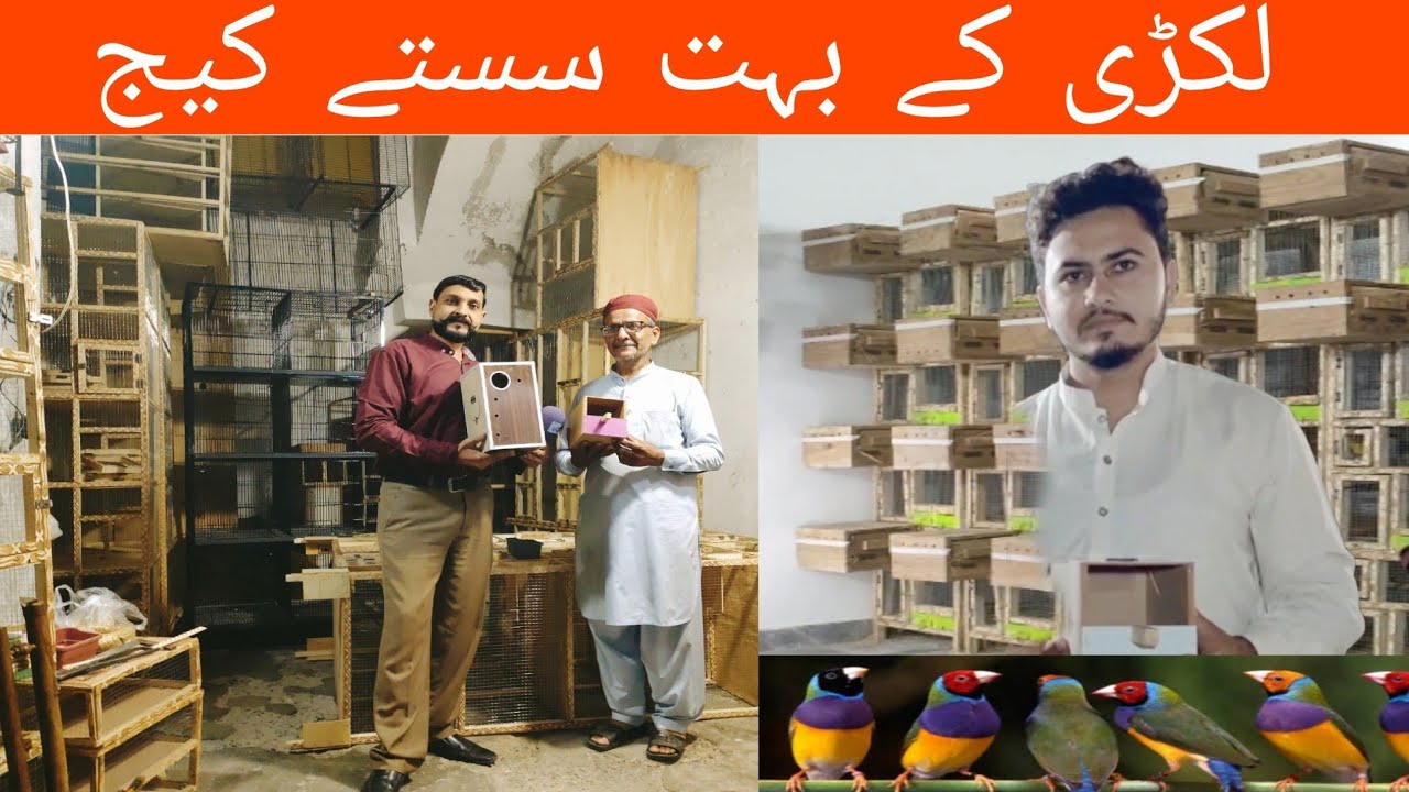 Gouldian, Finch, Jawa, Love Birds ky Sasty Cage🦜 | Lahore Birds Market | Cages | #ranapets #lovebird