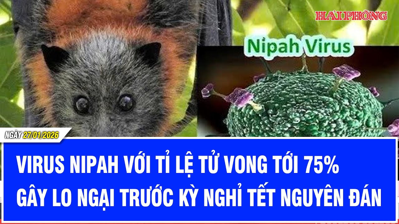 Virus Nipah với tỉ lệ tử vong tới 75% gây lo ngại trước kỳ nghỉ Tết Nguyên đán