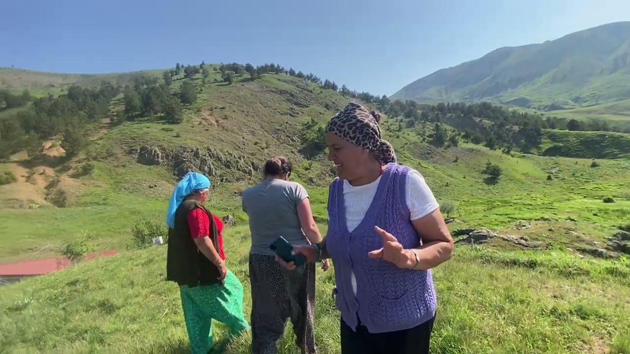 Adamlı köyüyaylası büyük yayla mecnun cezik