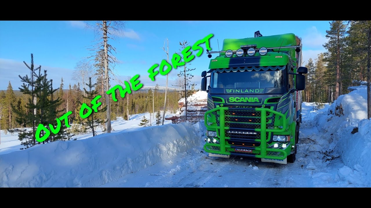 POV Driving in forest with Scania timber truck