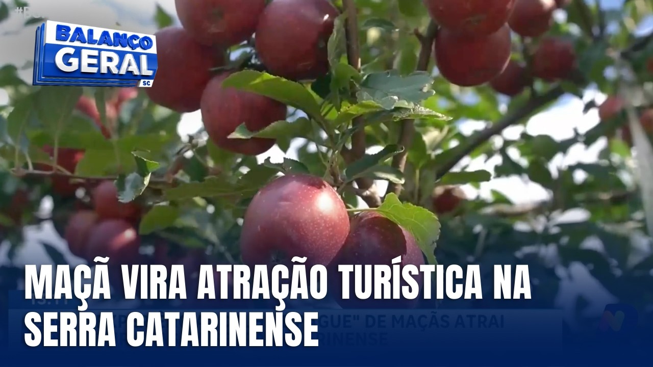 Serra Catarinense une produção de maçã e turismo rural