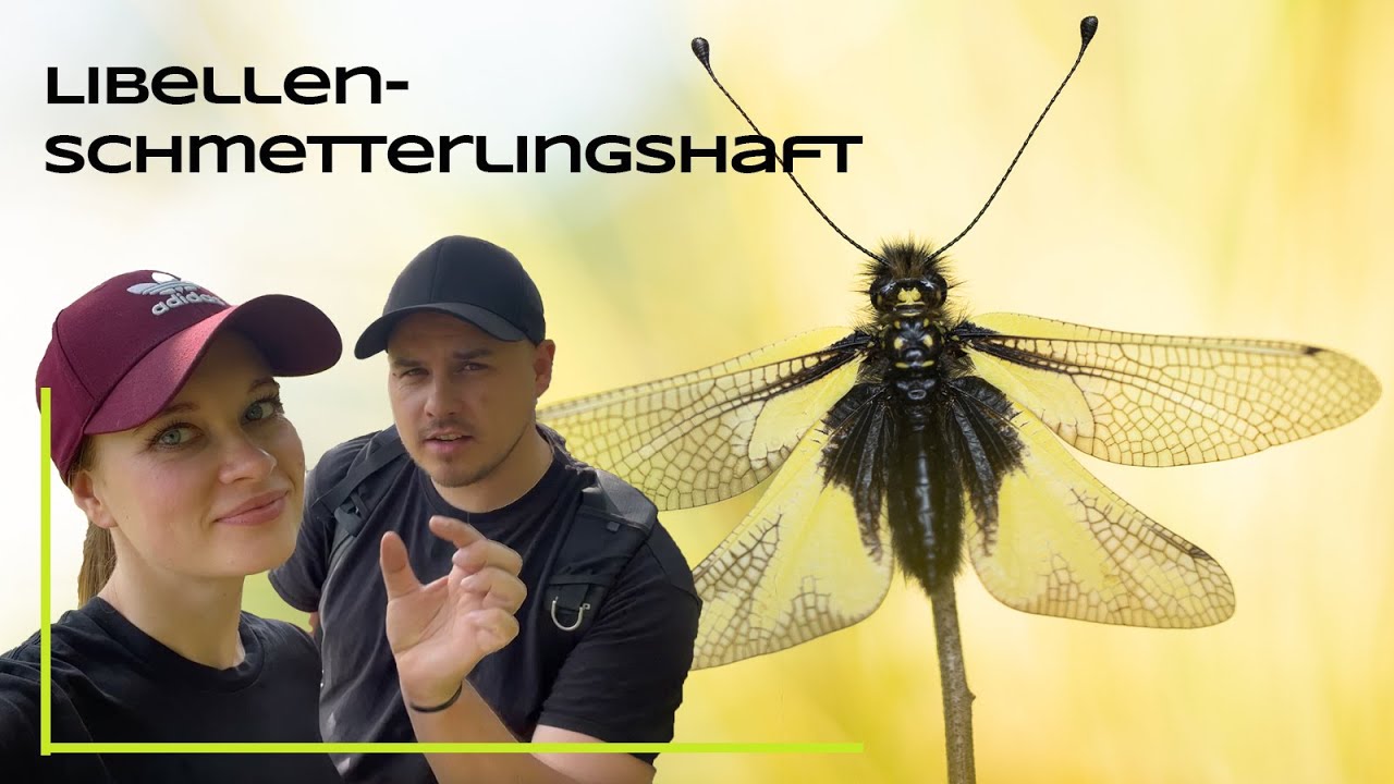 Orchideen und seltene Insekten - Auf Fototour