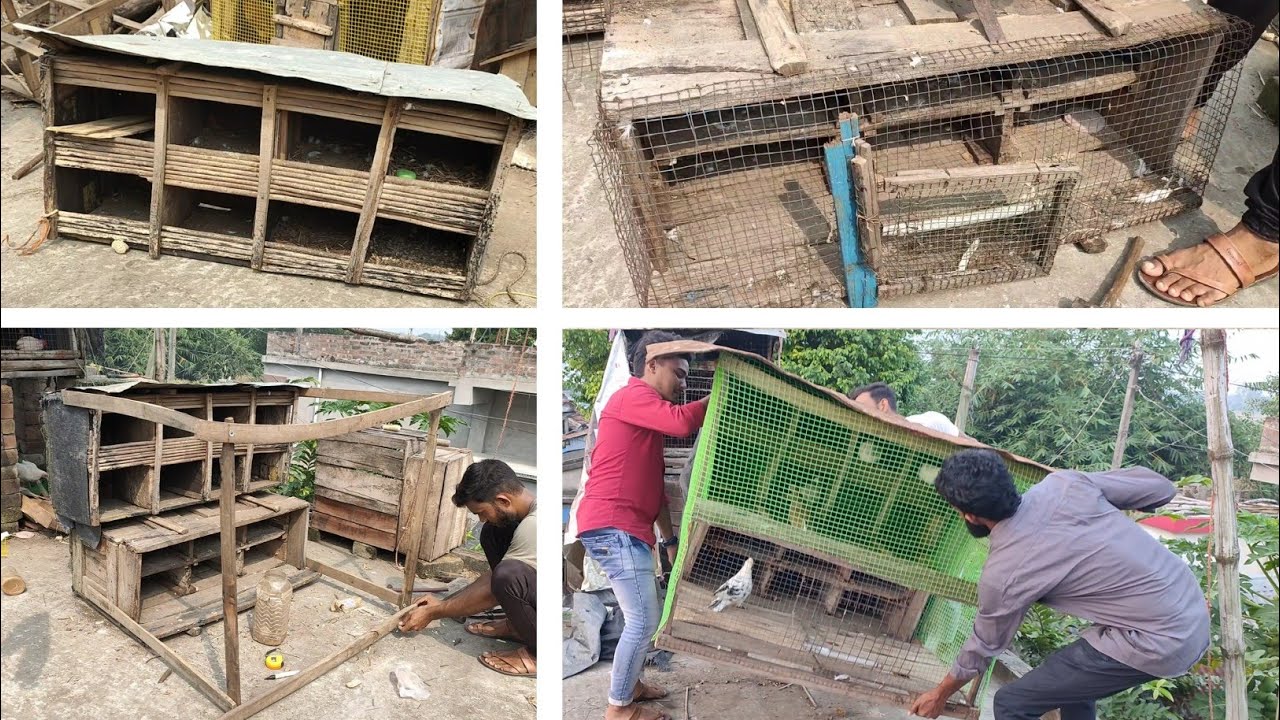 👷👍 How To Make Pigeons House 2 Cage 1 Setting | কবুতরের ঘর তৈরি নিয়ম ২ খাঁচা জয়েন্ট কোরে ১টা খাঁচা