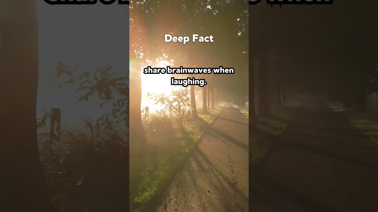 Crushes 101: What You Need to Know About Attraction!