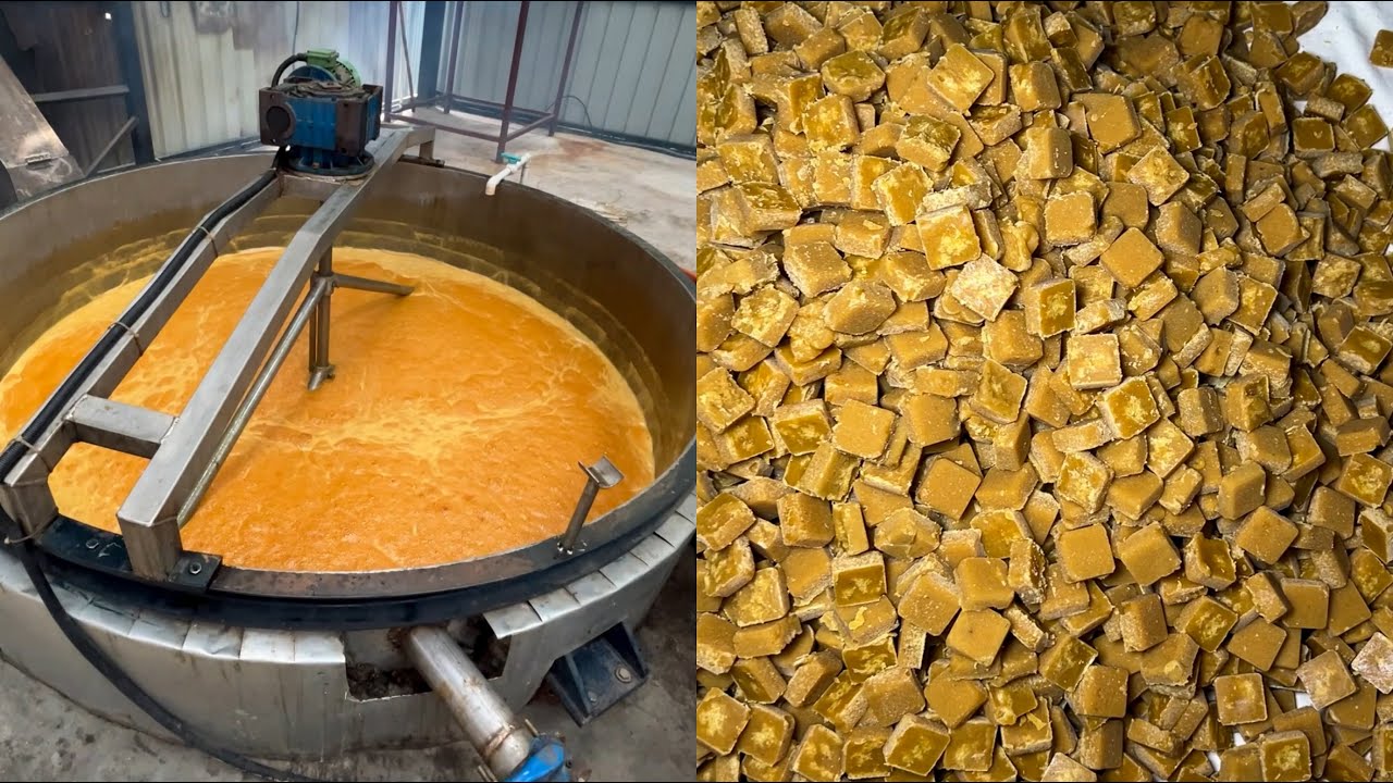 Sweetest jaggery cubes making factory (jaggery candy)