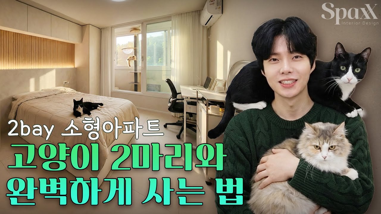[23평] 고양이 2마리와 2bay아파트에서 완벽하게 사는 법 ㅣ 소형평수 아파트 인테리어