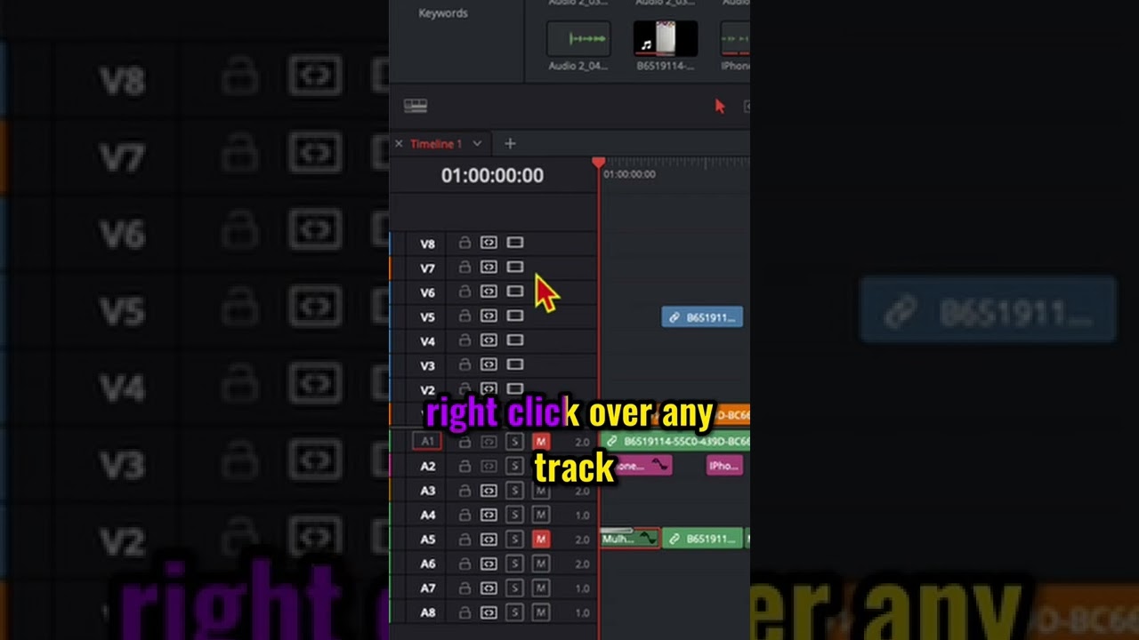 Delete EMPTY TRACKS in DaVinci Resolve