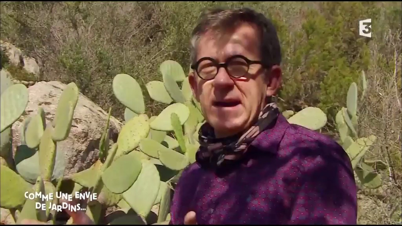 Corse du Sud   22012017 le jardin de jacques deleuze
