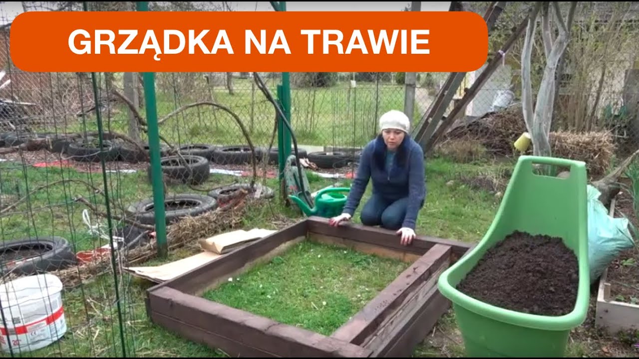 GRZĄDKA NA TRAWIE BEZPOŚREDNIO