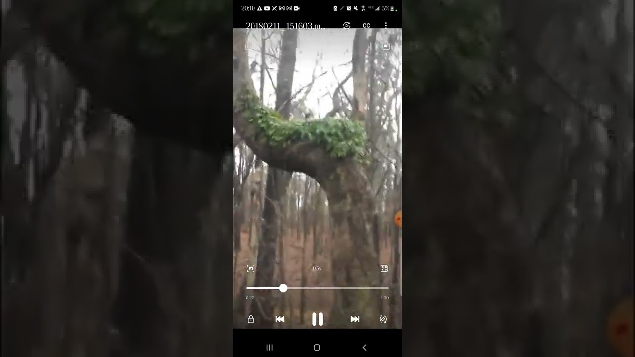 pukwudgie footage slowed to 20%