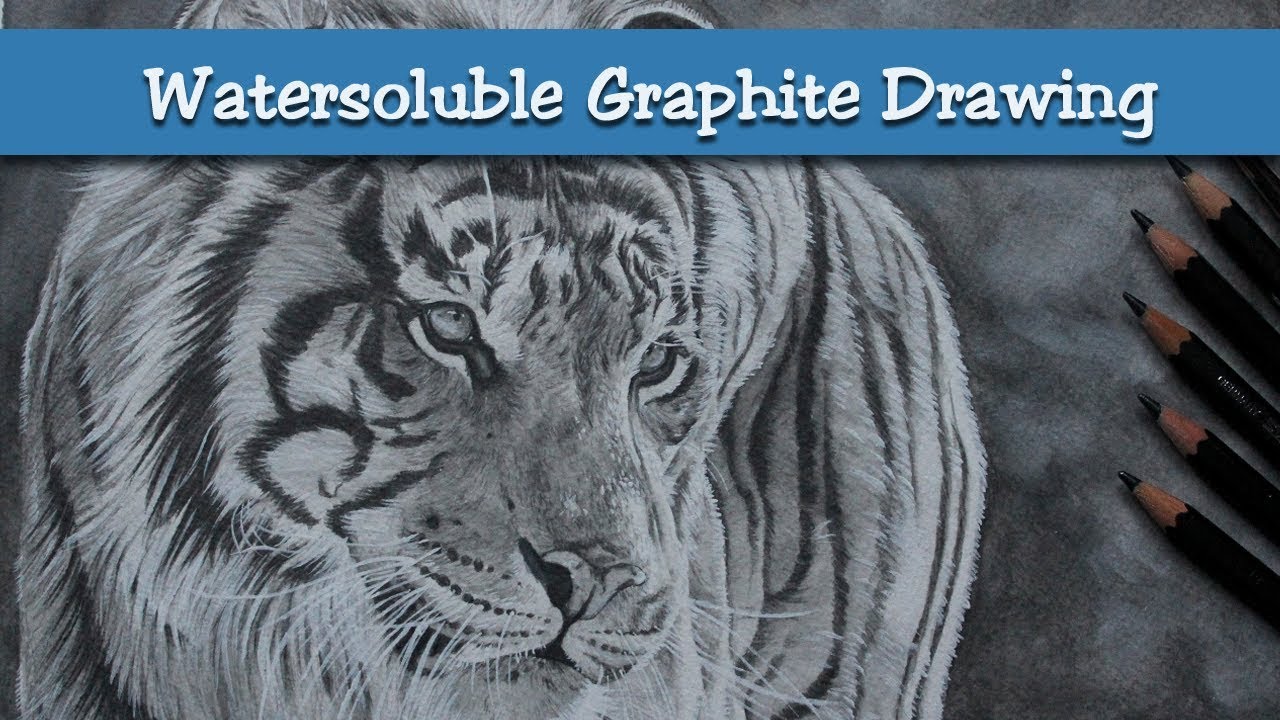 Sumptuous - Water Soluble Graphite Tiger Drawing Timelapse