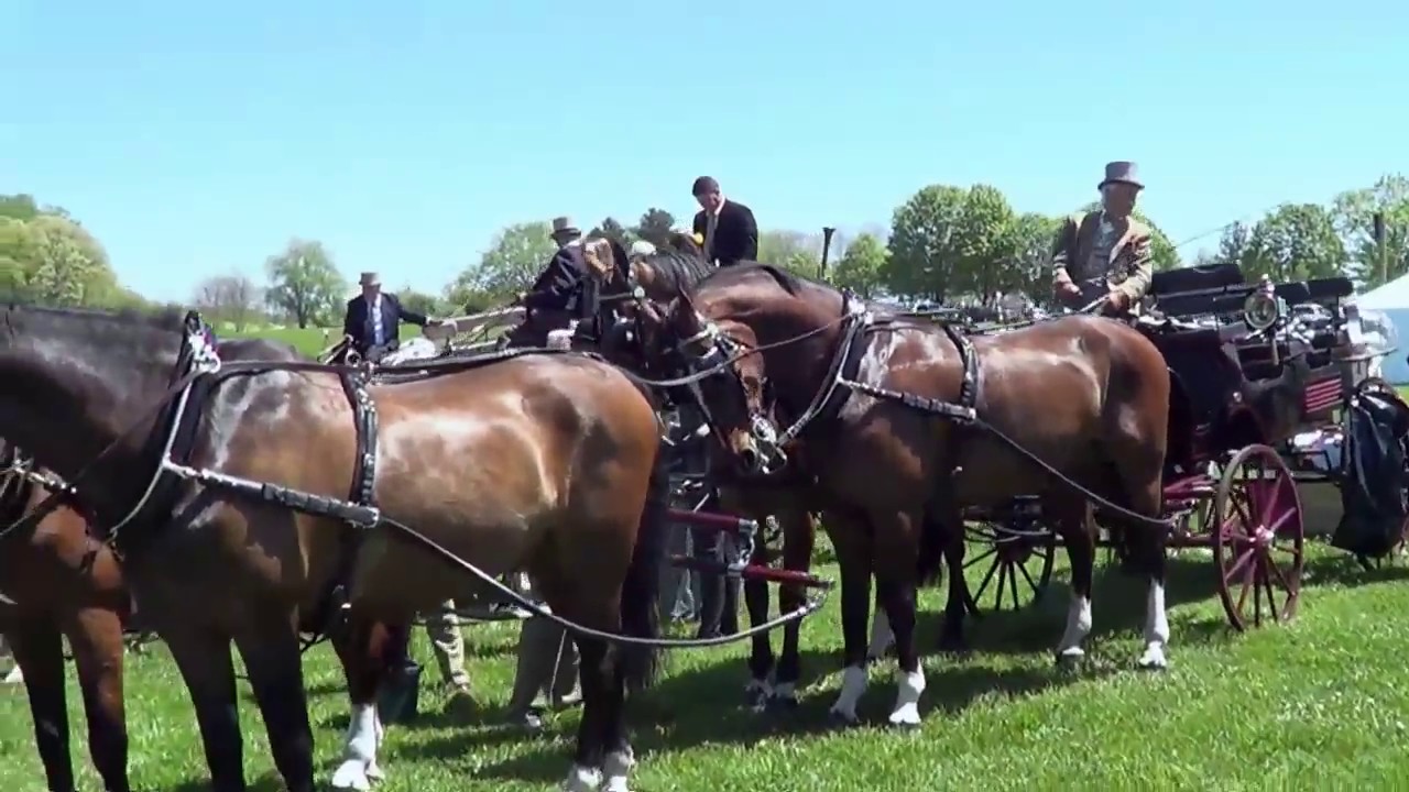 Rolls-Royce Owners Club at Winterthur's 2013 Point-to-Point Steeplechase in Delaware
