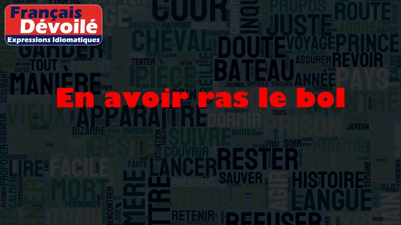 En avoir ras le bol