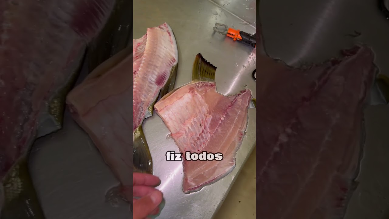 Tambatinga assada na churrasqueira! 🐟🎣 #pescaria #pescadores #pescando