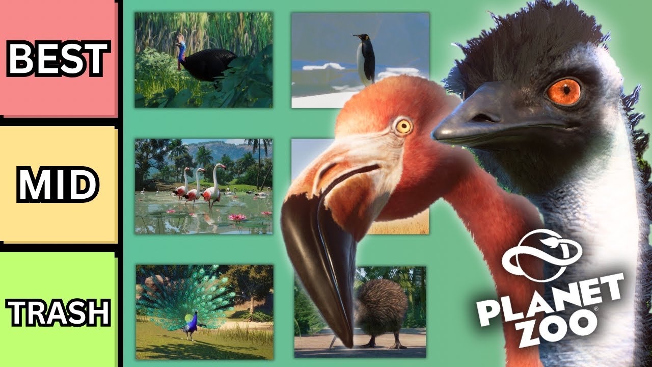 Рейтинг ВСЕХ ПТИЦ в Planet Zoo!