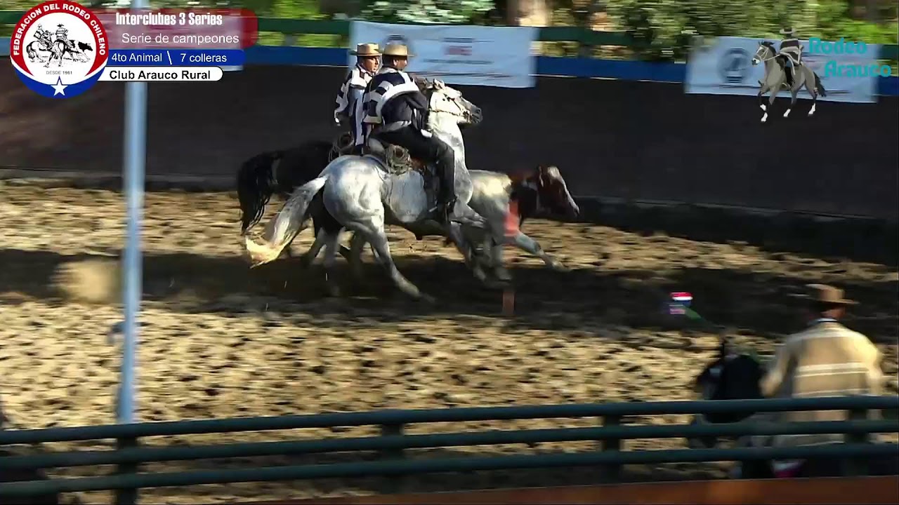 Serie de Campeones Rodeo Interclubes 3 series libres Club Arauco rural