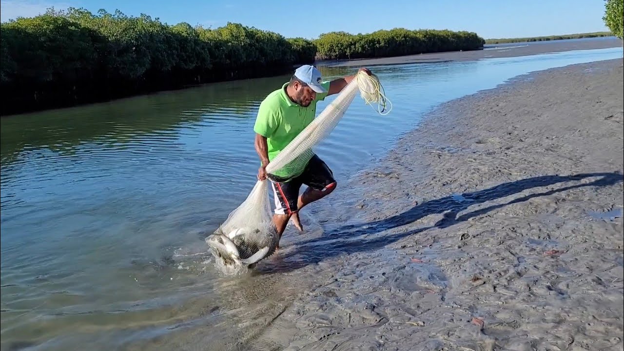 Pesca con atarraya