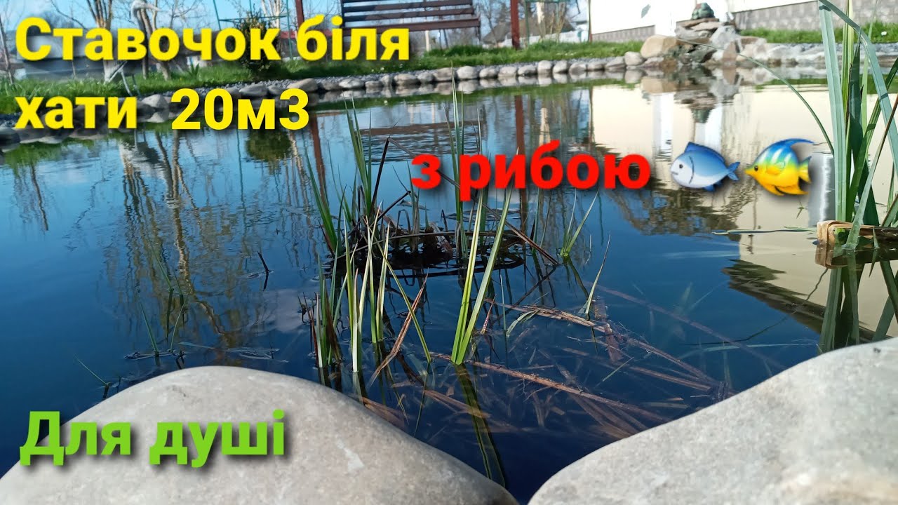 Ставок на подвір'ї,  7днів будівництва