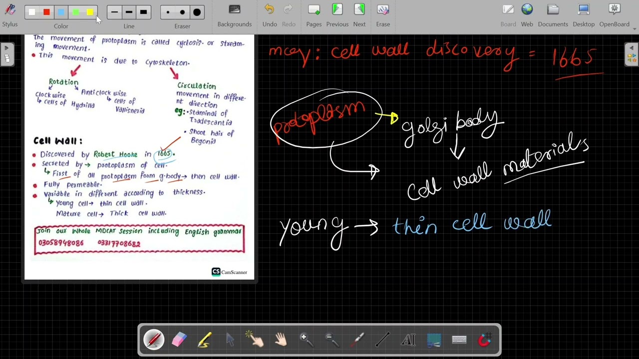 Cell And Its Structure Lec 02