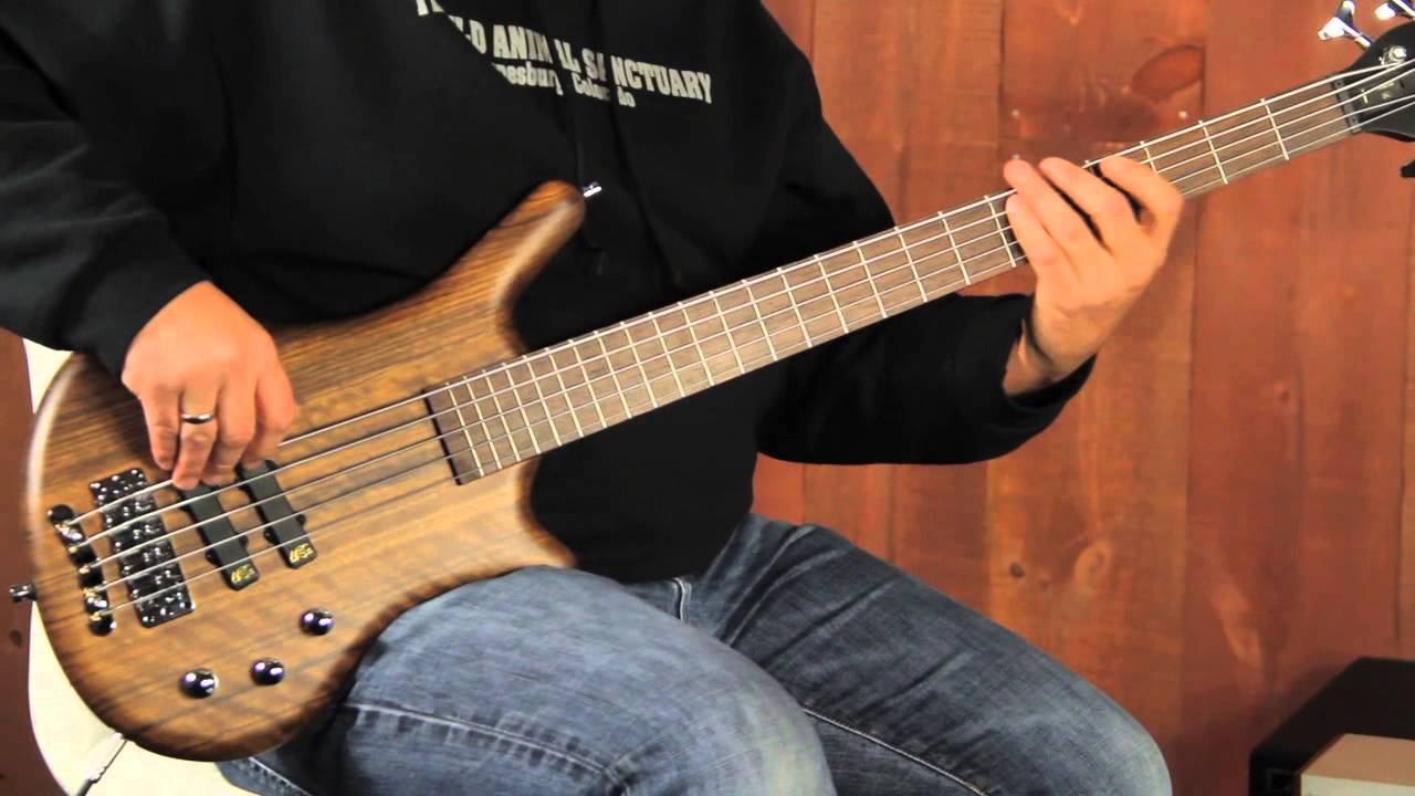 Warwick German Made Pro Series Thumb Bolt On Bass Demo 4 & 5 String