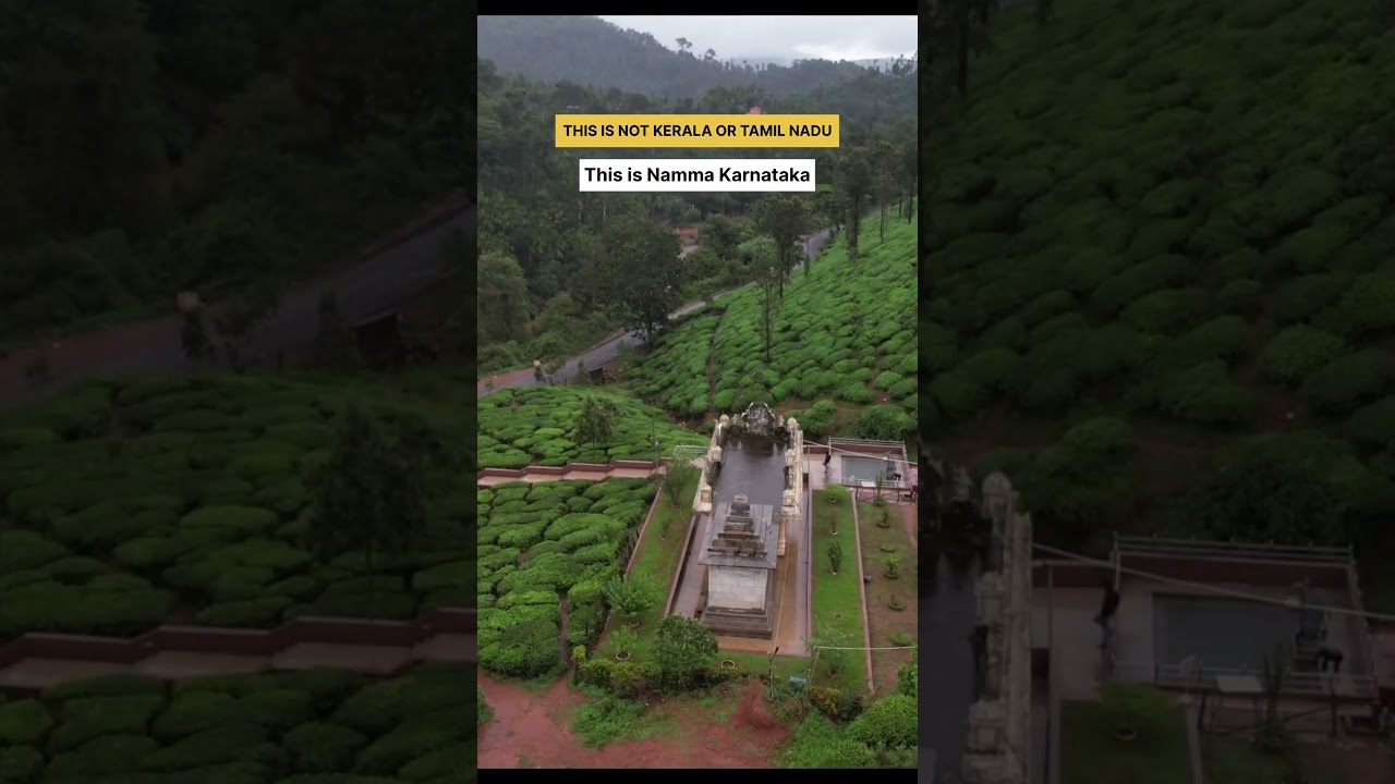 Samse Estate Kalasa Karnataka