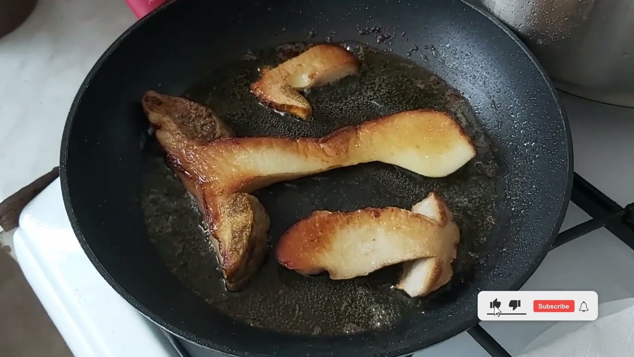 Borowik szlachetny (Boletus edulis)