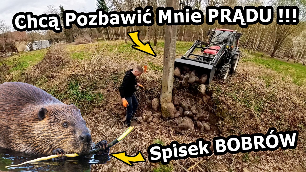 Ratuję Słup Energetyczny na Siedlisku !!! - Podmyło go przez Tamę Bobr&oacute;w! *Odzyskuję Teren (#1157)