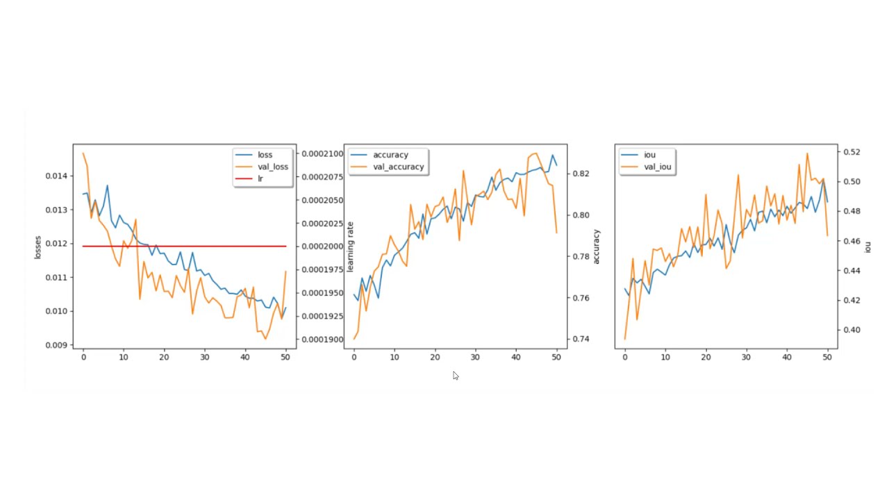 Understanding training curves from arivis AI training on the arivis Cloud (formerly APEER)