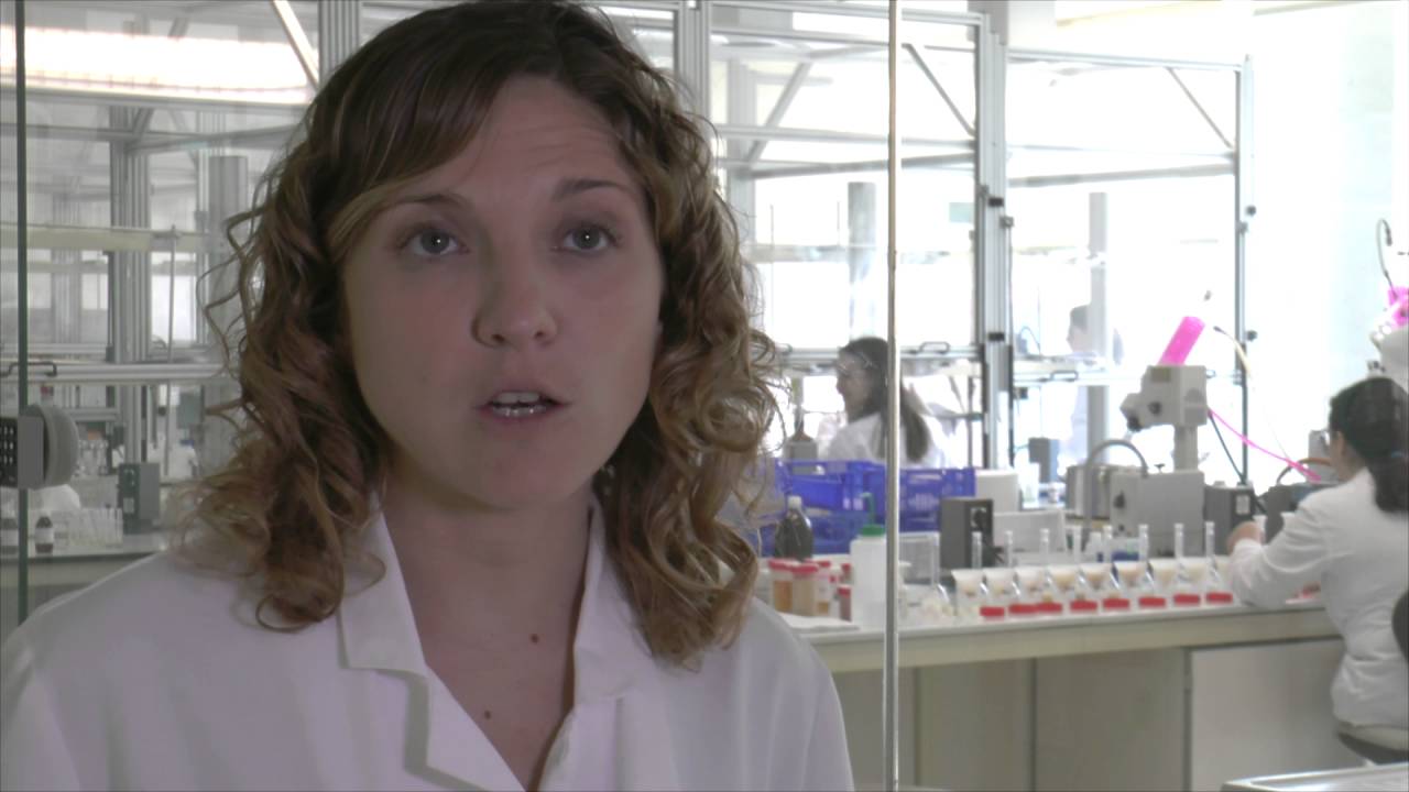 Innovación en el desarrollo de alimentos