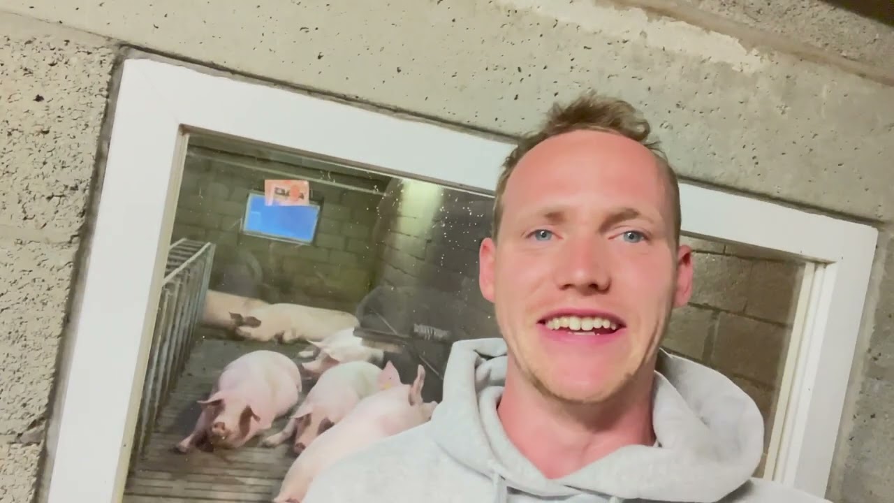 VILT TeeVee #Veldvloggers: Varkensboer Thomas