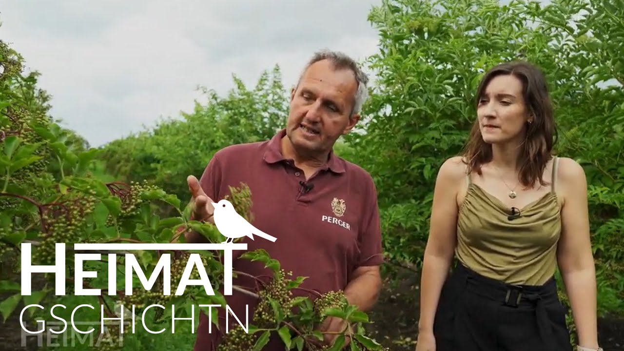 Heimatgschichtn - Beim Fruchtsaft-Hersteller Perger am Ammersee