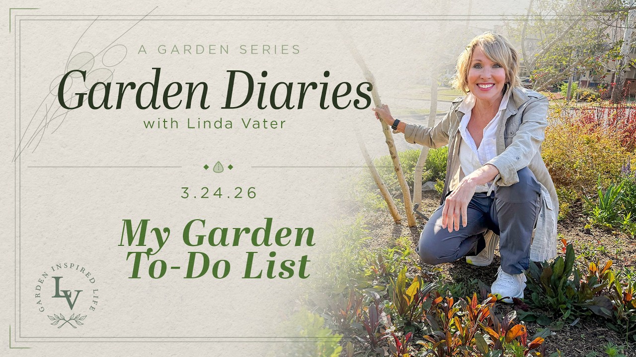 My Garden To-Do List Right Now: Wins, Busts, & Wacky Weather 🌷☀️