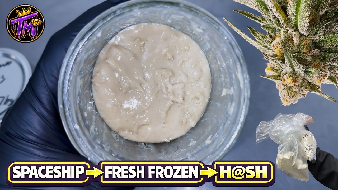 SPACESHIP FRESH FROZEN HARVEST + WASH!