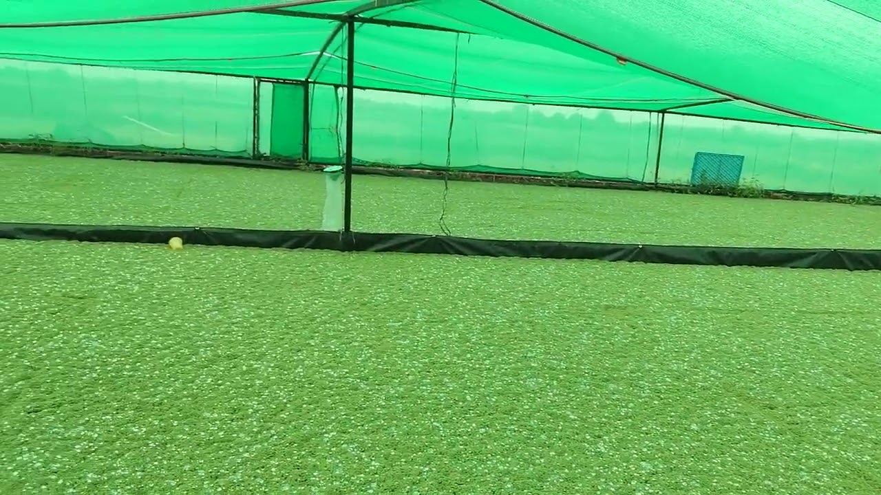 AZOLLA FARMING .mo.9923312439