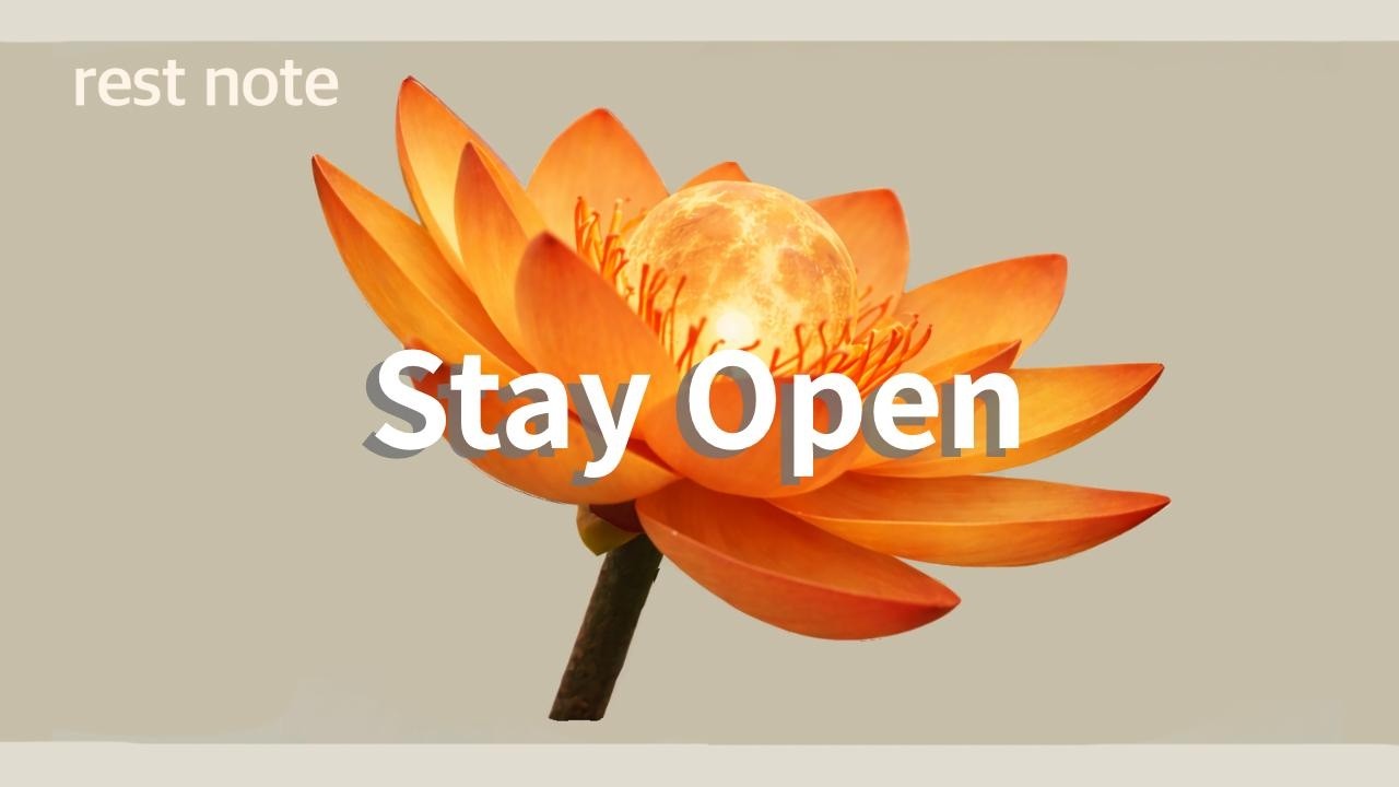 Stay Open｜心を開いていて｜Playlist chill house  lo-fi